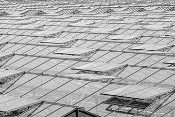 Glazen dak van Paul Veen