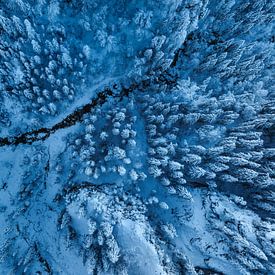 Winterbos van bovenaf van Markus Lange