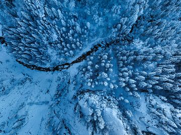 Winterwald von oben von Markus Lange