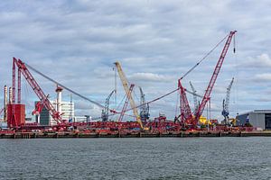 Terrein van Mammoet met diverse enorme hijskranen. van Jaap van den Berg