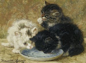 Henriëtte Ronner-Knip - Drei Kätzchen (1895)