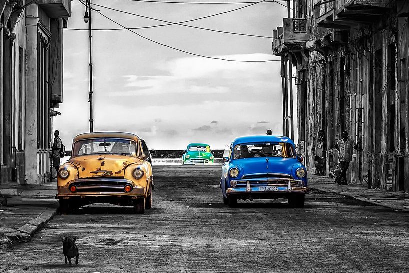 Classic Cars Havana Cuba Malecon Classic Cars Color Key by Carina Buchspies