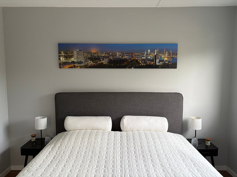 Overview skyline Rotterdam panorama, by Anton de Zeeuw