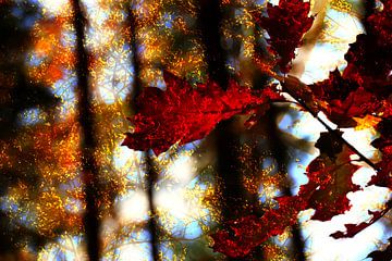 Golden autumn van Herman Kremer