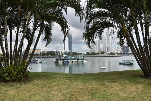 Uitzicht op de stad van het Bandera-park