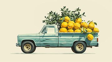 Illustration botanique des agrumes sur Mosaic Dialogue