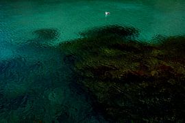 LONELINESS 3 by Miroslav Ptacek