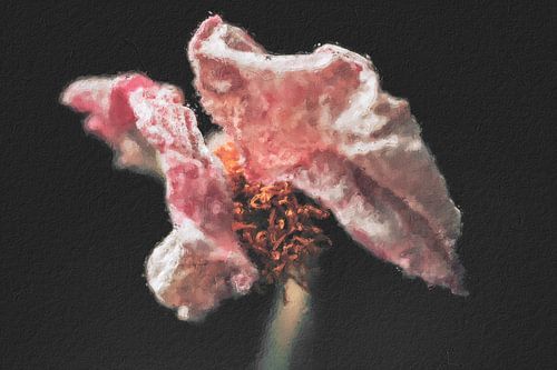 Roze bloem digitaal schilderij