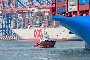 Port tug SD Rebel at work. by Jaap van den Berg