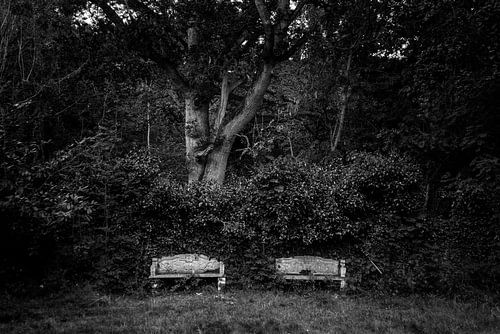Bänke im Park