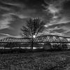 Moody Winter van Boris de Weijer