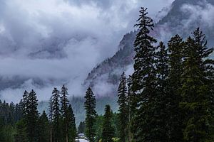 Enveloppé dans les nuages
