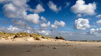 texel de hors