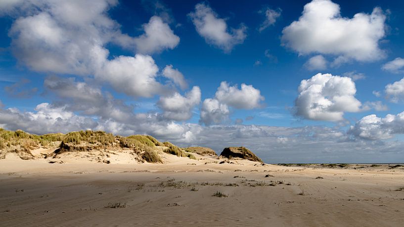 texel de hors van Aad de Vogel