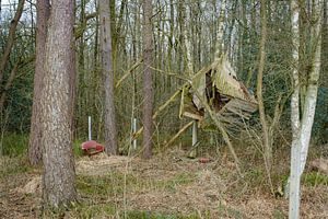 Überreste im Wald von Johan Vanbockryck