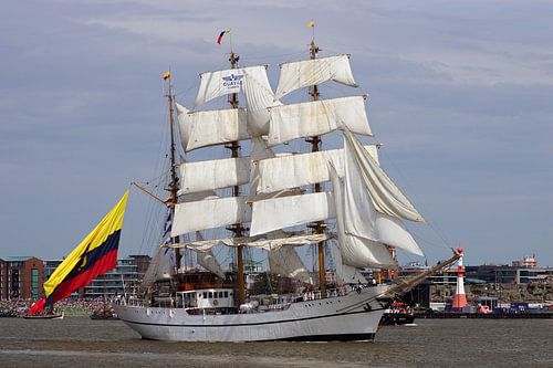 Bark Guayas
