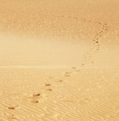 Voetafdrukken in het zand