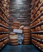 cheese