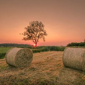 Roulage de foin dans une prairie au coucher du soleil sur Moetwil en van Dijk - Fotografie