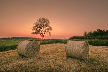 Roulage de foin dans une prairie au coucher du soleil sur Moetwil en van Dijk - Fotografie