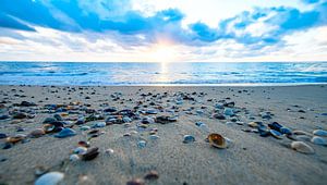 Série Plages hollandaises 2026 - 11