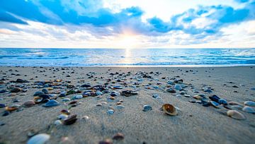 Holländische Strand-Serie 2026 – 11