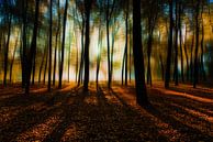 Herfst in Renswoude van Jeroen Mondria thumbnail