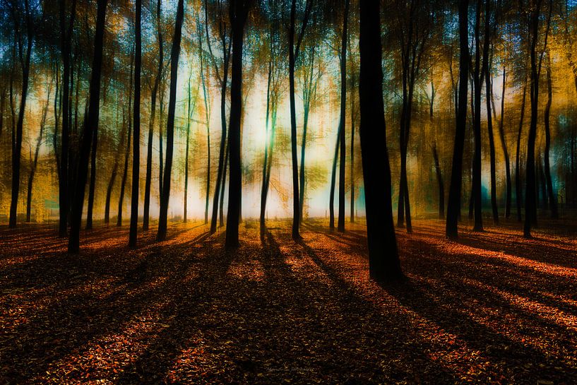 Herfst in Renswoude van Jeroen Mondria