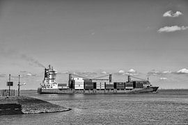 Die Westerschelde von Patrick van den Bos