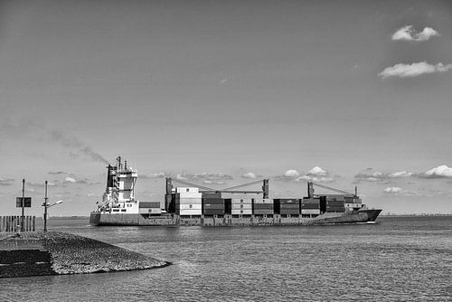 The Western Scheldt