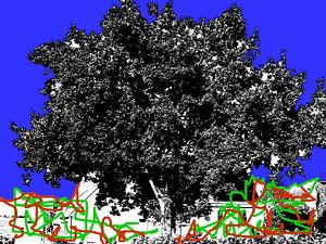 Tree Magic Graffitti Style