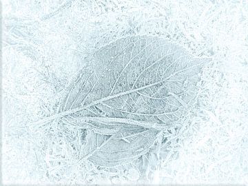 Bevroren bladeren, Minimal art van Ina Hölzel