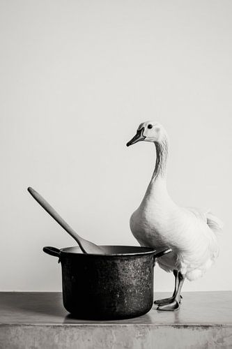 L'oie dans la cuisine