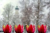 Lentegevoelens van Photoart-Naegele thumbnail