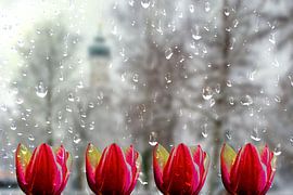 Spring feelings by Photoart-Naegele