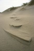 zand sculpturen