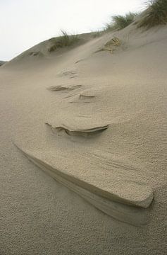 zand sculpturen sur Ralph Jongejan