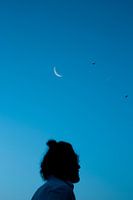 Stargazer