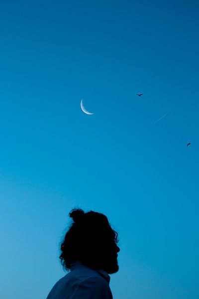 Stargazer by Kiri Pruntel