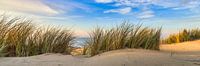 dune with marram grass beach and north sea by eric van der eijk thumbnail