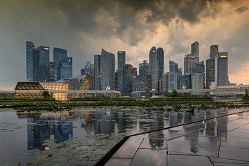 Rain Reflection von Bart Hendrix