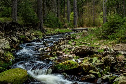 In de Zwarte Watervallei in het Ertsgebergte