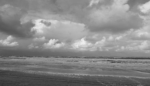 Texel in zwart wit.