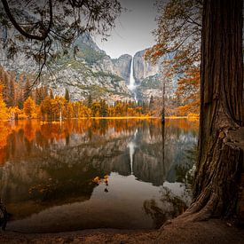 Herfst in Yosemite van Thomas Klinder