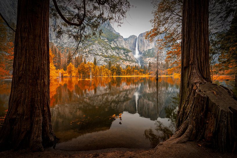Herfst in Yosemite van Thomas Klinder