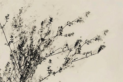 Druck von zarten Blumen.