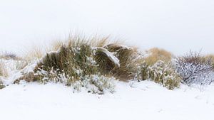 La neige dans les dunes sur Herwin Wielink