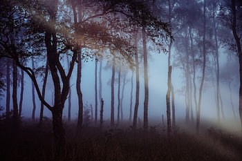 Fog on the sheet