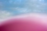 Abstractions ::rose