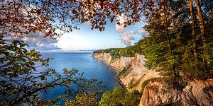 Kreidefelsen auf Rügen